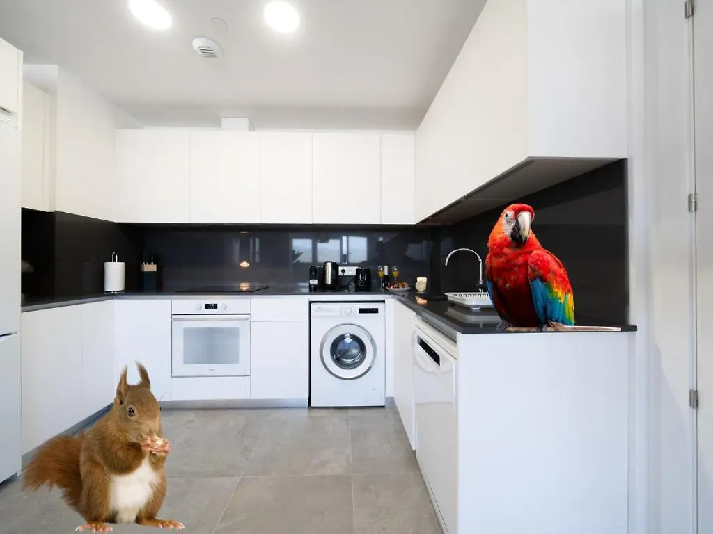 Xpce Urban 4 Malaga Skyline - Free Parking Apartment